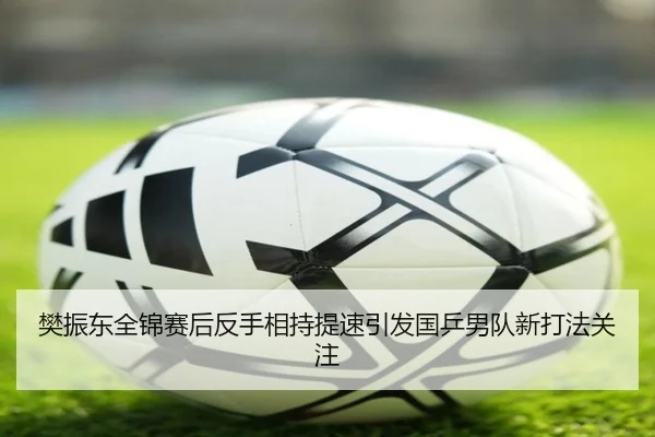 樊振东全锦赛后反手相持提速引发国乒男队新打法关注
